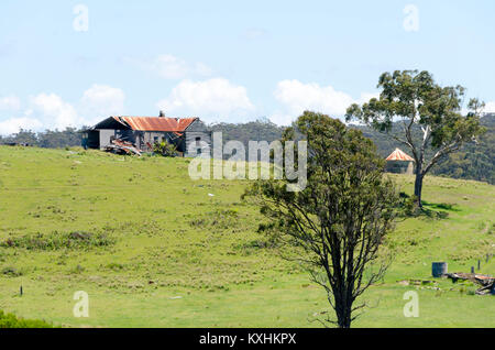 Verfallenes Haus und Bäume auf Hügel, Cuttagee, New South Wales, Australien Stockfoto