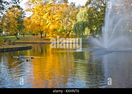 Riga Kanal im Herbst Stockfoto