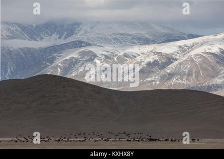 Mongolische Landschaft verschneite Berge Schnee Winter bewölkt Ziege-herde Mongolei Stockfoto