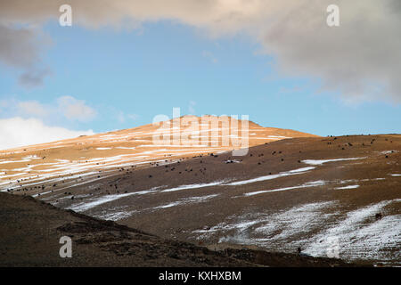 Mongolische Landschaft verschneite Berge Schnee Winter bewölkt Ziege-herde Mongolei Stockfoto