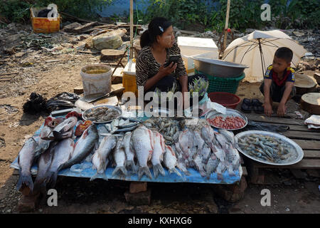 NYAUNGSHWE, MYANMAR - ca. April 2017 Frau mit Fisch auf der Straße Stockfoto