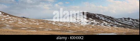 Mongolische Landschaft verschneite Berge Schnee Winter wilde Pferde Herde Mongolei panorama Stockfoto