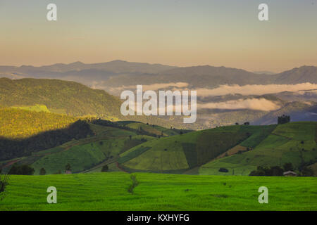 Terrasse Reisfeld im Norden von Thailand. Pa-Bong Piang Reisfeld Feld in Chiang Mai Thailand. Stockfoto