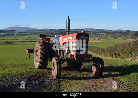 Massey Ferguson MF 1100 Farm Traktor Stockfoto