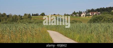 Grüne Landschaft in der Nähe von Wetzikon, Schweiz. Stockfoto