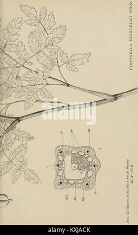 Die „Annuaire du Conservatoire et du jardin botaniques de Genève“ ist eine jährliche Publikation, die die wissenschaftlichen Arbeiten und Pflanzensammlungen des Genfer Botanischen Gartens beschreibt. Stockfoto