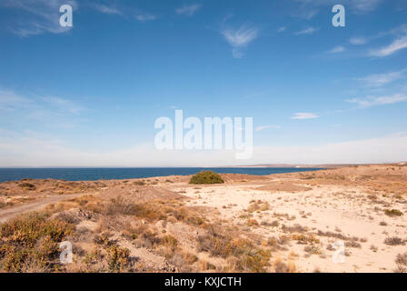 Eine Landschaft, in der Nähe von Punta Ninfas, Halbinsel Valdes, Puerto Madryn, Chubut, Argentinien Stockfoto