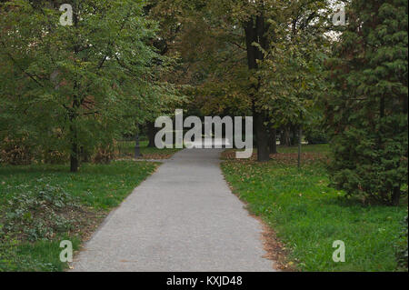 Pfad im Park und Bäume um sie herum, Herbst Zeit Stockfoto