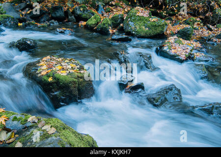 Fluss, der über bemoosten Felsen im Wald Stockfoto