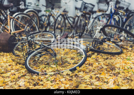 Alte verlassene Fahrräder lassen im Fahrrad Park in Japan Herbst Stockfoto