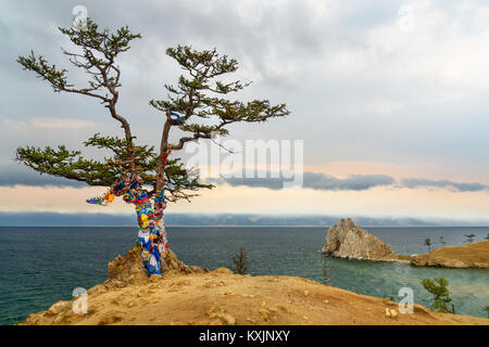 Ritual Baum mit bunten Bändern Hadak im bedeckt. Baikalsee. Insel Olchon. Sibirien. Russland Stockfoto