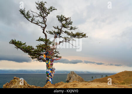 Ritual Baum mit bunten Bändern Hadak im bedeckt. Baikalsee. Insel Olchon. Sibirien. Russland Stockfoto
