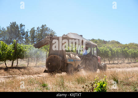 Somerset West in der Western Cape Region Südafrikas. Dezember 2017. Traktoren Anhänger Spritzen in einem Weinberg Stockfoto