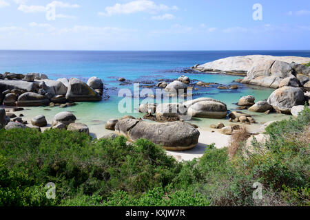Boulders Beach mit Kolonie afrikanischer Pinguine (Spheniscus demersus) im Hintergrund, Simons Town, South Afrika, Indischer Ozean Stockfoto