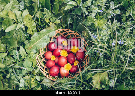 Rote Ostereier auf der Wiese mit Blumen und blowballs, Frühling Urlaub Konzept, natürlich gefärbte Ostereier mit Zwiebel schält. Frohe Ostern, Christi Stockfoto