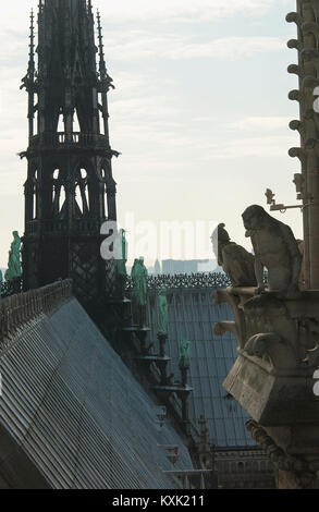 Die Aussicht von oben von Notre Dame in Paris, Frankreich. Stockfoto