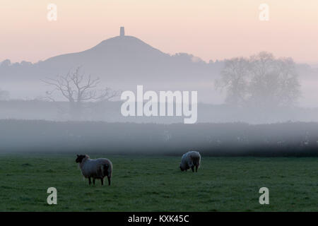 Glastonbury Tor in der Morgendämmerung Nebel, Glastonbury, Somerset, England, Vereinigtes Königreich, Europa Stockfoto