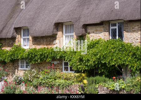 Details rund um die Fenster der strohgedeckten Hütten im Kings Sutton, in der Nähe von Banbury, Northamptonshire, England, Grossbritannien, Europa Stockfoto