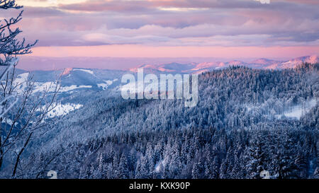 Extrem kalten Schwarzwald bis in den frühen Morgen lila Sonnenstrahlen erwärmt. Der Himmel öffnet sich und die Tannen sind mit Schnee nach der st-abgedeckt Stockfoto