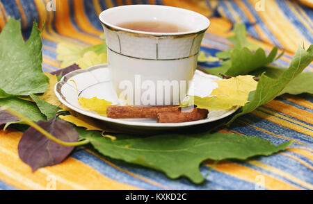 Blätter im Herbst und Tee auf einem Plaid Stockfoto