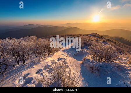 Sonnenaufgang auf dem Deogyusan Berge bedeckt mit Schnee im Winter, Südkorea. Stockfoto