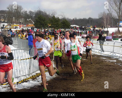 Das BDG MŚ Senior Cross-Country-Rennen im März 2013 in Polen veranschaulicht sportliche Wettkämpfe, Teilnehmer und die Organisation von Sportereignissen in einem Cross-Country-Setting. Stockfoto