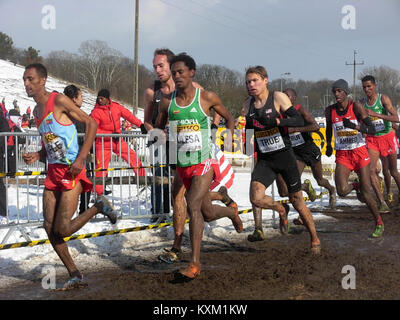 Ein Foto des Langläufer-Rennens der Männer (BDG MS) im März 2013, das den sportlichen Wettkampf und die Teilnehmer dokumentiert. Stockfoto