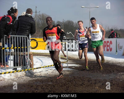 Das Foto von 2013 zeigt das Senior Cross-Country-Event in BDG MS, Polen, mit Athleten in Wettkämpfen, Wettkampforganisationen und Sporteinrichtungen. Stockfoto