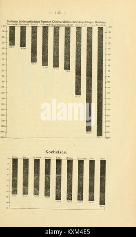 Bericht des Naturwissenschaftlichen (früher zoologisch-mineralogischen) Vereinsund zu Regensburg (Seite 135) BHL 11840914 Stockfoto