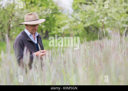 Landwirt Qualitätsprüfung Fruchtarten in einem Feld Stockfoto