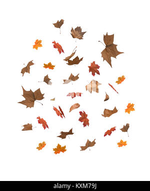 Eine Sammlung von taumelnden Herbstblättern Stockfoto