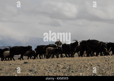 Ziege keeper Schäfer Bilder mongolischen Winter Snowy Mountains Stockfoto