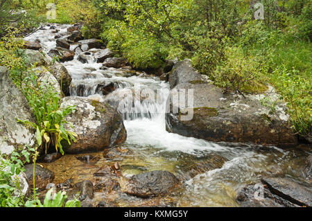 Eine kleine schnell fließenden Bach in der Stiftskirche Peaks Wilderness in Colorado Stockfoto