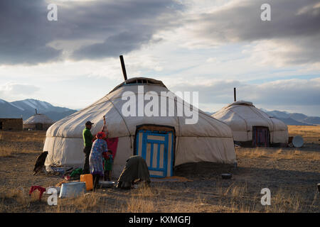 Mongolische Eagle Hunter Familie butchering Schaffleisch Mongolei ger Stockfoto