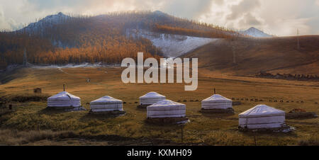 Mongolei Ulan Bator Ulaanbaatar Ger camp sonnenuntergang bäume Wiesen Stockfoto