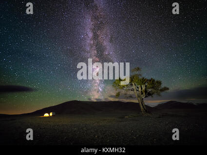 Mongolische Milchstraße Nachthimmel Astrofotografie LANDSCHAFTSFOTOS Sterne Baum camping Zelt Wohnmobil russischen UAZ 452 Mongolei Stockfoto