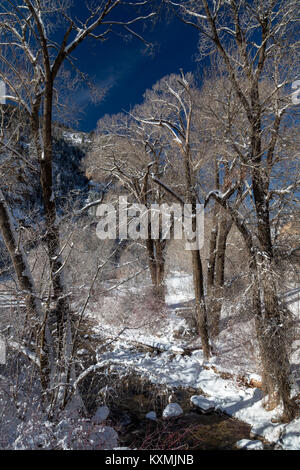 Glenwood Springs, Colorado - Grizzly Creek fließt in der Nähe des Colorado River im Winter in Glenwood Canyon. Stockfoto