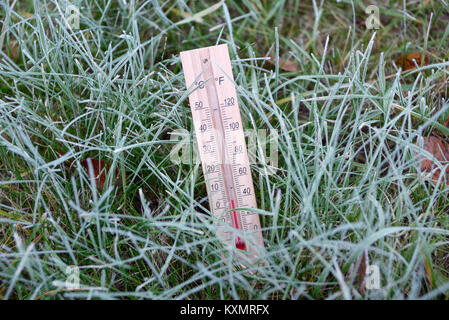 Thermometer ist im grünen Gras bedeckt mit Raureif und zeigt subzero Temperatur Stockfoto