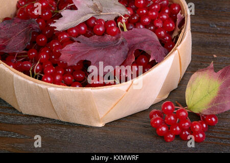 Gefüllte Schneeball-rosa Beeren auf hölzernen Tisch Stockfoto