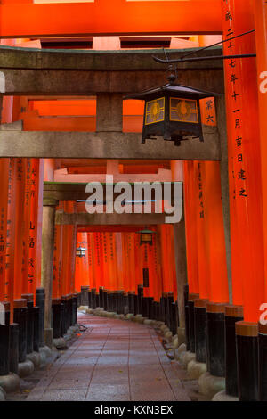 Eine Laterne haengt entlang der Torii Weg des Fushimi Inari in Kyoto, Japan. Stockfoto