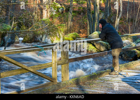 Männliche Wanderer stehen auf düstere hölzerne Brücke mit Blick auf die Frühjahrstagung des Arbeitsscheinwerfers unten. Wald Landschaft im Hintergrund. Stockfoto