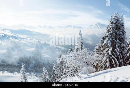 Malerischer Blick auf Schneebedeckte Bäume mit weit entfernten nebligen Tal und die schneebedeckten Berge Stockfoto