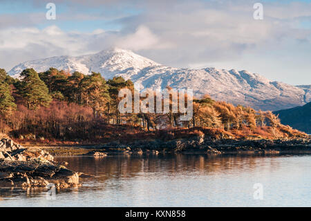 Blick nach Norden Osten entlang Loch Sunart auf einen schneebedeckten Ben Resipol im Hintergrund, Ardnamurchan, Lochaber, Schottland. 28. Dezember 2017. Stockfoto