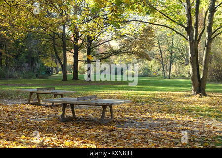Dieses Bild zeigt die Herbstszene im Großen Tiergarten in Berlin. Der Park ist bekannt für seine große, zentrale Lage und bietet einen Einblick in die natürliche Schönheit der Stadt während der Herbstsaison. Stockfoto