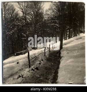 Clair de Lune. Stellen 52 Min. 29-11-15-Fonds Berthelé - 49 Fi 1753 Stockfoto