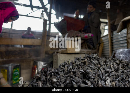 Dezember 23, 2017 - Kolhom, Jammu und Kaschmir, Indien - ein Kaschmirischen Mann schleift Wasser Kastanien zu Mehl auf eine Mühle am Januar 05, 2018 in Kolhom, nördlich von Srinagar, die Hauptstadt des Indischen verwalteten Kaschmir, Indien erhalten. . Wasser Kastanien sind eine der wichtigen Kulturpflanzen für Menschen, die in der Nähe von Wular See, den zweitgrößten Süßwasser in Asien der See. Wular, sieht mehr wie ein flachen sumpfigen Ebene als einen großen See im Winter, wie der Wasserpegel ganze Familien sammeln und der Marmor extrahieren - sortierte Frucht von seinen stacheligen Gehäuse. Die getrockneten Kastanien werden später in Märkten verkauft, besonders im Sommer ca Stockfoto