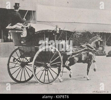 Cab primé-Concours Hippique Paris 1900 Stockfoto