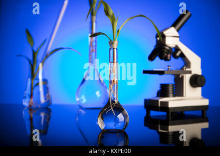 Biotechnologie. Labor Konzept. Becher und Röhrchen. Blauen Hintergrund. Stockfoto