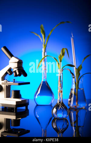 Biotechnologie. Labor Konzept. Becher und Röhrchen. Blauen Hintergrund. Stockfoto