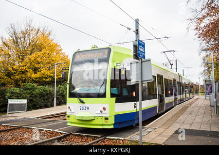 Grüne Tram in Croydon, mit der Straßenbahn sehen beide Seiten zeigen Titel und Plattformen Stockfoto